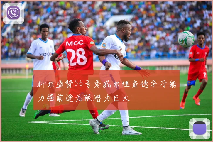 科尔盛赞56号秀威尔理查德学习能力强前途无限潜力巨大