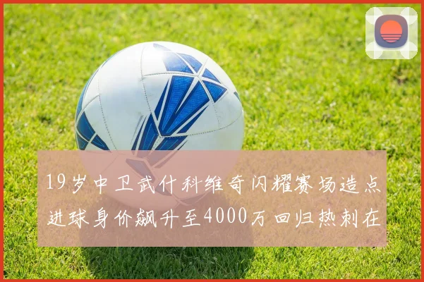 19岁中卫武什科维奇闪耀赛场造点进球身价飙升至4000万回归热刺在即