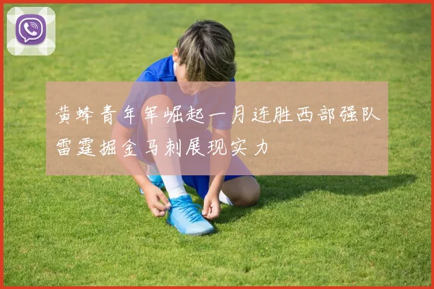 黄蜂青年军崛起一月连胜西部强队雷霆掘金马刺展现实力